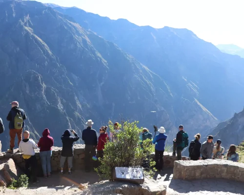 la cruz del condor2