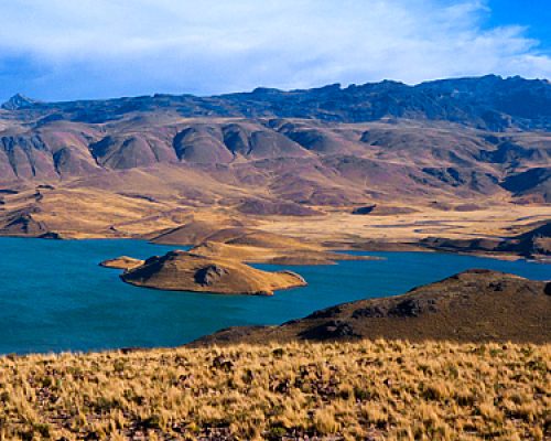 lagunillas